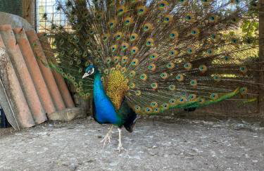 Agriturismo La Ruota - Foto 20