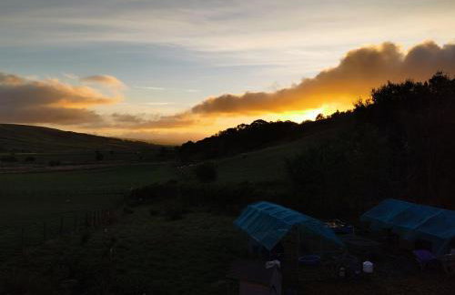 Glen Bay - 2 Bed Lodge on Friendly Farm Stay with Private Hot Tub - Foto 64