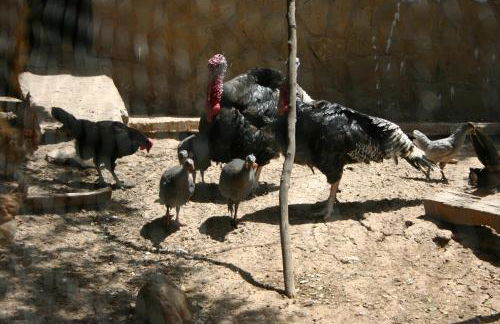 Casas Rurales La Loma Del Carrascal - Foto 39