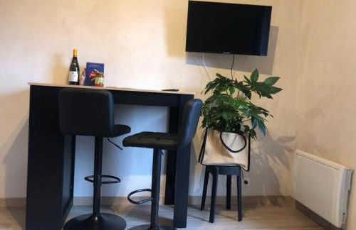 Studio 2 personnes situation idéal a Sallanches 74400 - Foto 2