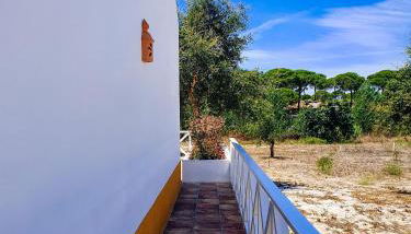 Monte do Brejinho de Água - Foto 5