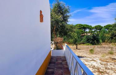 Monte do Brejinho de Água - Foto 5