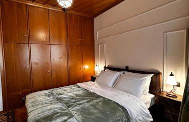 MetsoVillas στο κέντρο του Μετσόβου - Photo 8