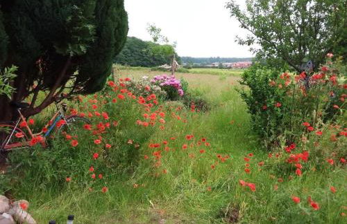 Apartment Schmetterling by Interhome - Foto 34