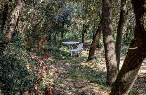 Mas Dalia - Turismo Rural - Girona - Monells, Empordà - Foto 28