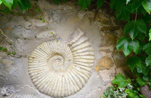 Fossil Barn - Photo 12