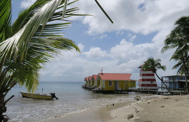 Kevin Condos - Foto 20