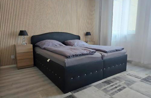 Familienfreundliche geräumige Design-Wohnung mit Balkon im Zentrum - APOLONIAliving - Foto 62