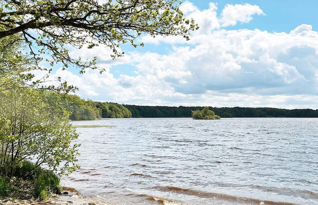 4 Person Holiday Home in Ahus-by Traum - Foto 20