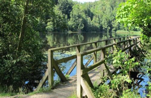 Bungalow im Feriendorf Uslar mit Gartenterrasse - Photo 50