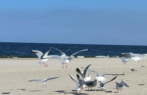 Ferienwohnung Strand25 - Foto 7