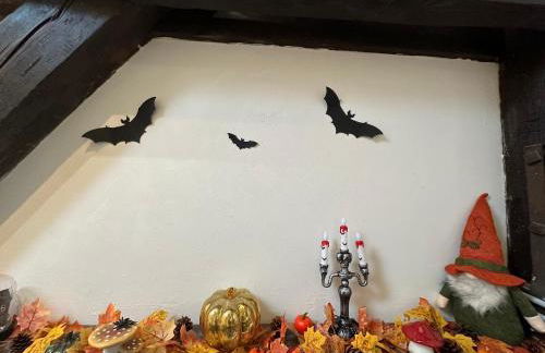 Le cocon de Marckolsheim proche Europapark - Foto 20