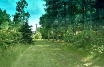 Secluded Rustic Cabin Rental Inside Manistee National Forest in Brethren, Michigan - Foto 3