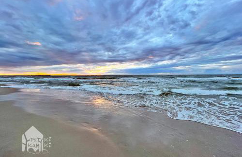 Patyki Kamyki - Foto 80