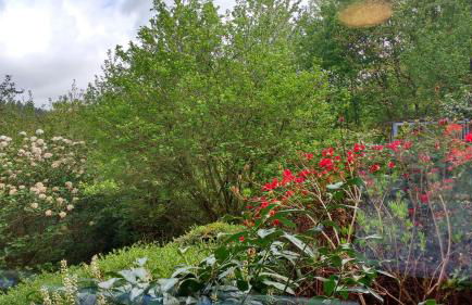 Natur und Panorama am Highwalk Wildgehege Wanderwege und Ruhe - Photo 32