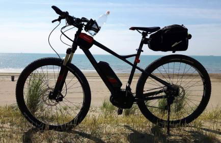 La Casa del Gallo - Foto 29