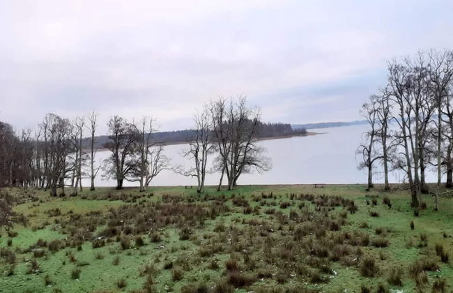 5 Person Holiday Home in Skanderborg-by Traum - Photo 41