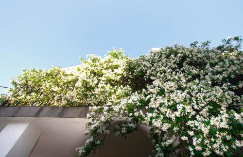 Villa Micheline - Foto 48