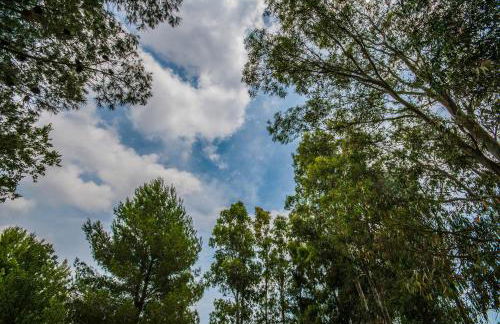 Agriturismo Tenuta Kyrios con piscina - Foto 31