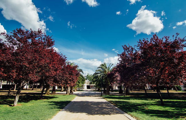 Mon Suites Catedral - Foto 44