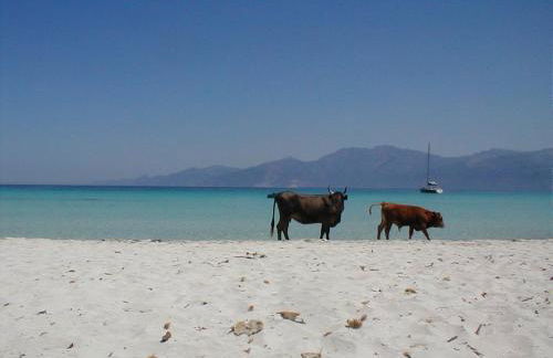 Albaria Lodge - Foto 37