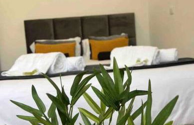 Amar a Costa - Foto 8