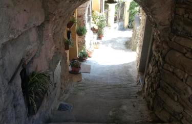 Monolocale con giardino e parcheggio privato CITRA zero zero ottanta trentuno LT 0281 - Photo 35