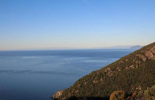 La notte sull'isola - Montaretto - tra il cielo e il mare - Foto 51