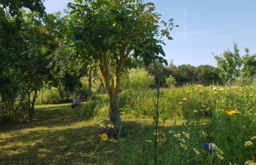 2 Ferienhäuser im Doppelpack für Naturliebhaber, strandnah, ruhig, mit großen Gärten - Foto 12