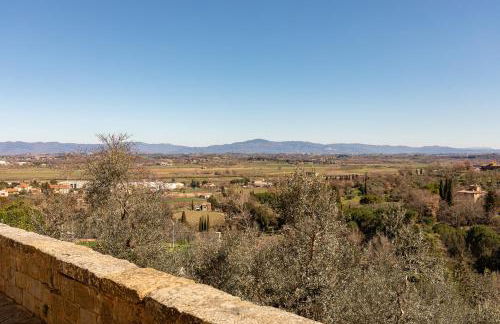 Beb Pulcino Nero Scrofiano - Photo 31