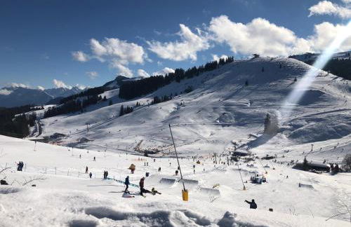 Terralpin - Wohnen auf Zeit - DG Wohnung mit Bergblick - Foto 24