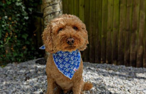 3 Bed in West Down oc-r29627 - Foto 25