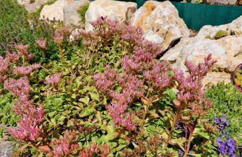 Ferienwohnung Pension Waldblick - Foto 40