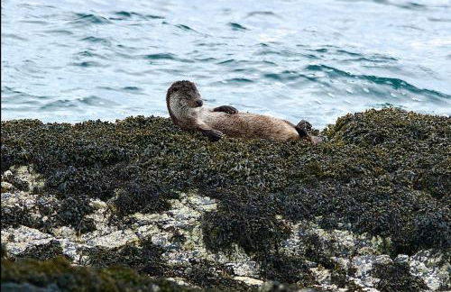 Normann's Ruh - Foto 17