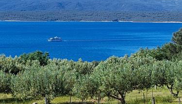 Holiday home Ivan Bol - Foto 5