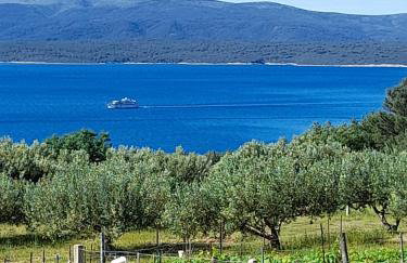 Holiday home Ivan Bol - Foto 5