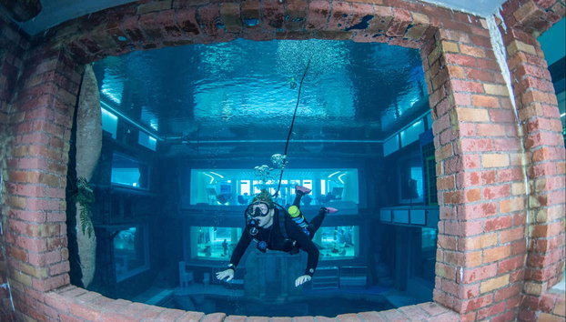 Plongée à Deep Dive Dubaï - Photo 5, Plongeur regardant à travers la vitre de Deep Dive Dubaï