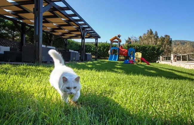 Kookis Village - Photo 41