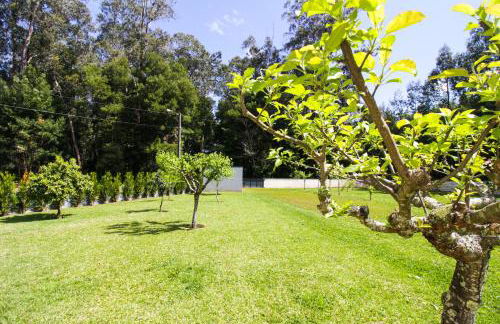 River house in Vila Nova Cerveira - Foto 43