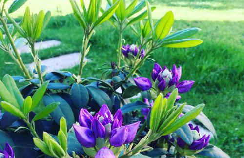MonCoeur, maison et jardin à 700 m des Hospices de Beaune - Foto 36