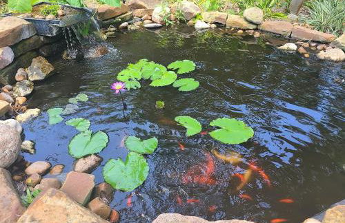 Robin's Nest- Private Suite on Elegant Grounds - Foto 10