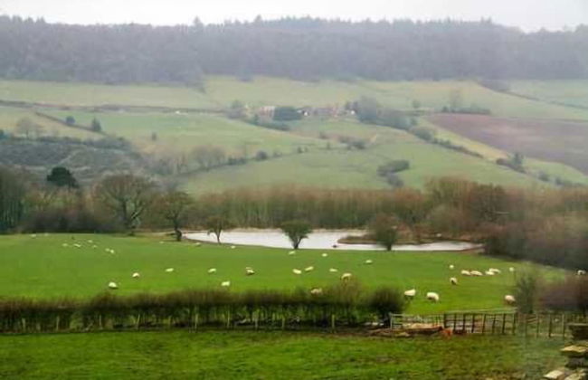 The Grainary Farm Stay - Foto 61