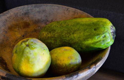 Apartments Mitterhof 1544 - Foto 26