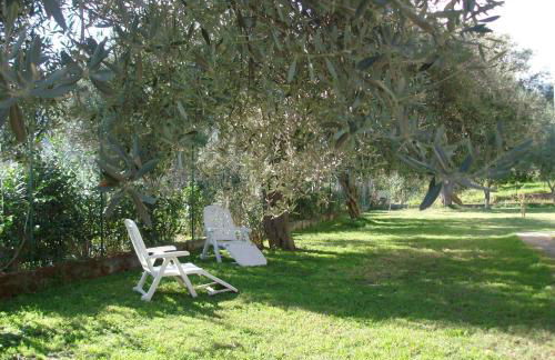 Il Melicucco - Foto 8