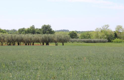 Villa Nel Rosa - Foto 7