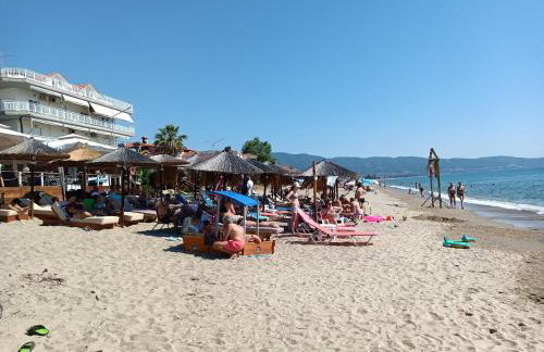 FREDDY'S PLACE - Photo 17