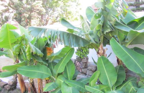 Villa Amalia Suites Malaga - Photo 69