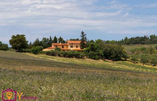 Leccino Home Piano Terra by Yohome - Foto 35