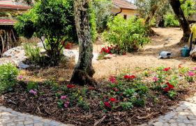 Casa de Amigos - Foto 45