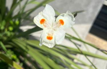 Studio 106 Pé na Areia Smart Costa Azul! Matinhos - Foto 50